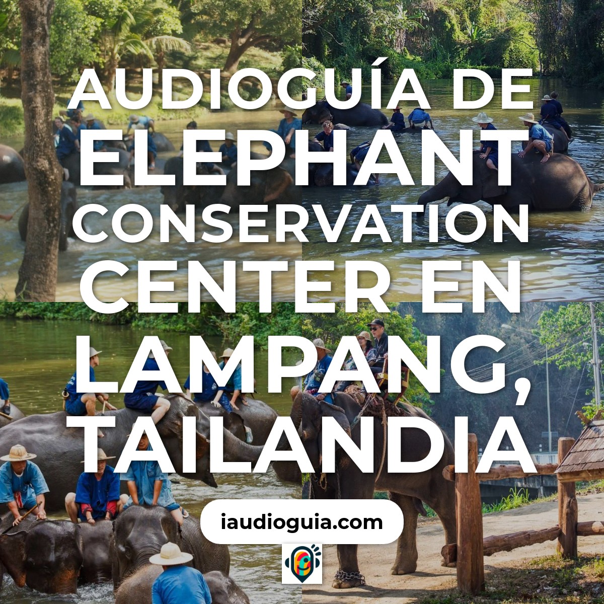 Audioguía de Elephant Conservation Center en Lampang, Tailandia
