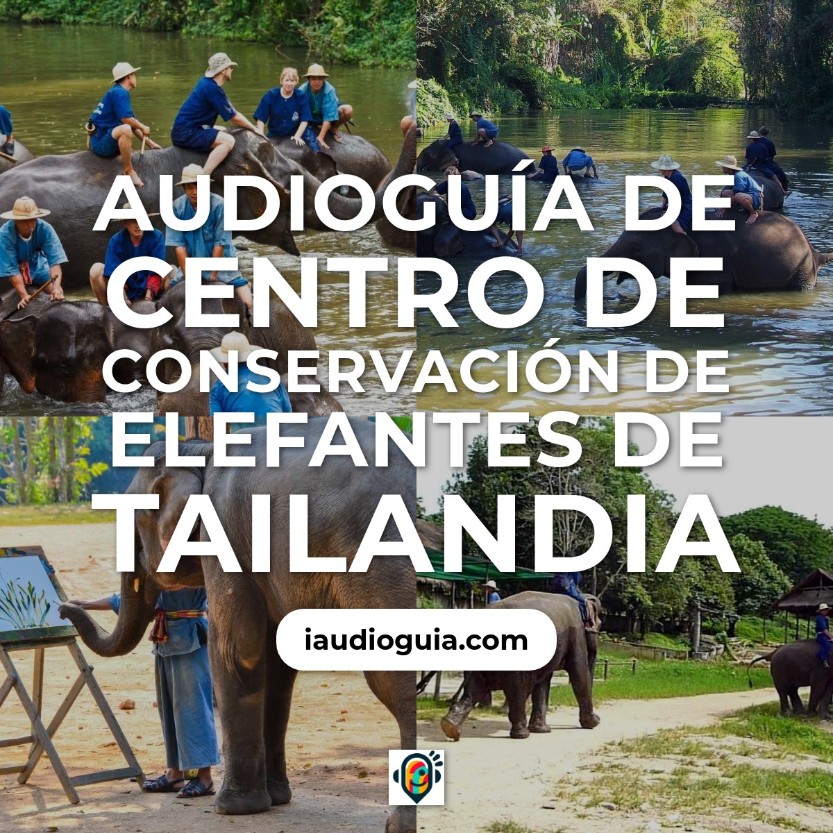 Audioguía de Centro de Conservación de Elefantes de Tailandia