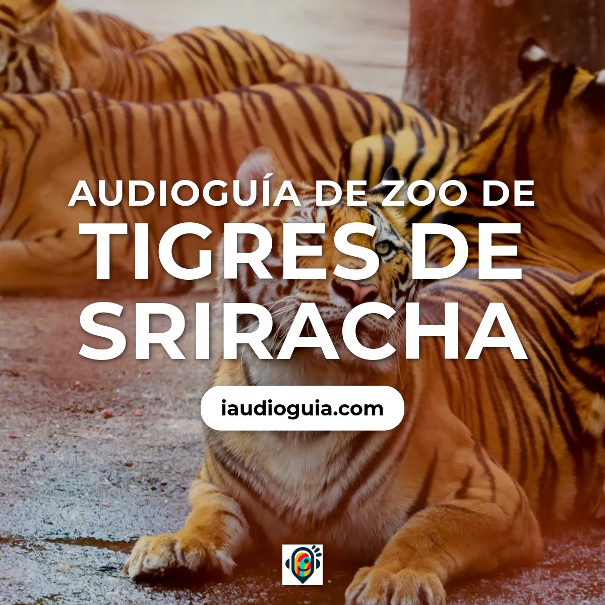 Audioguía de Sriracha Tiger Zoo
