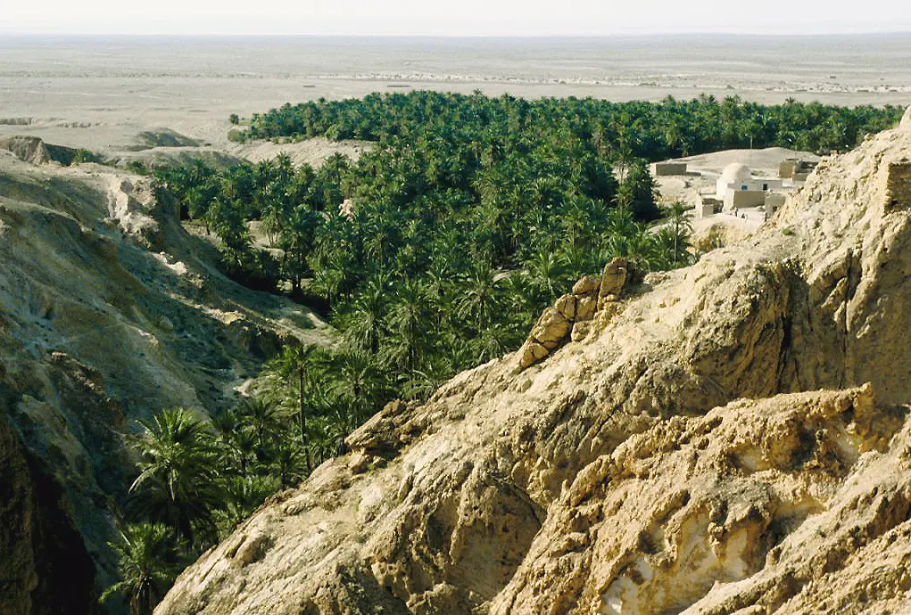Audioguía de Chebika Oasis