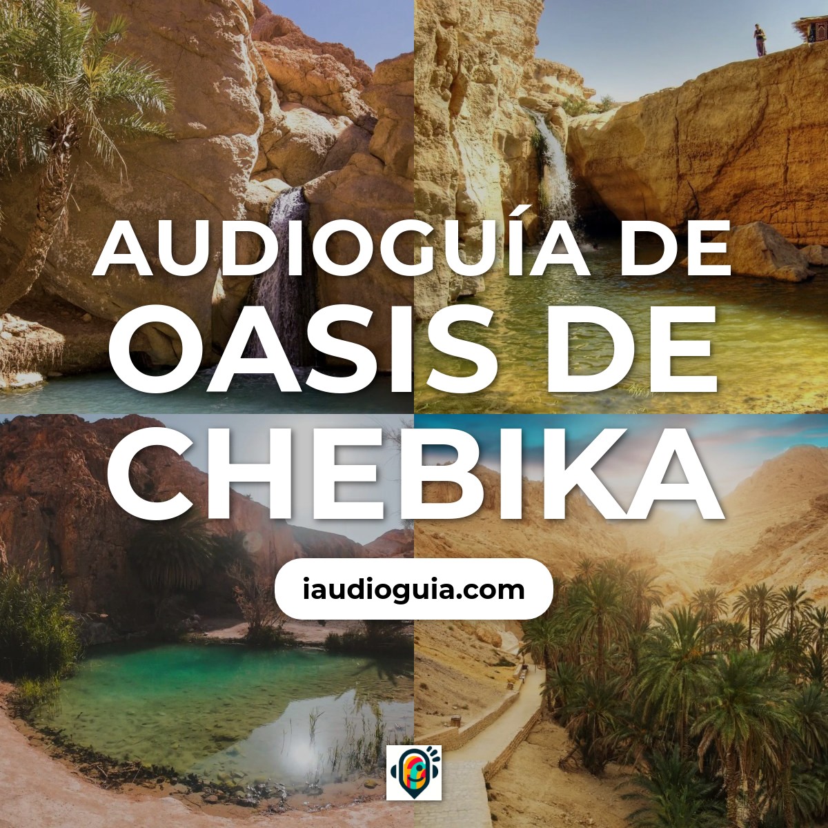 Oasis de Chebika