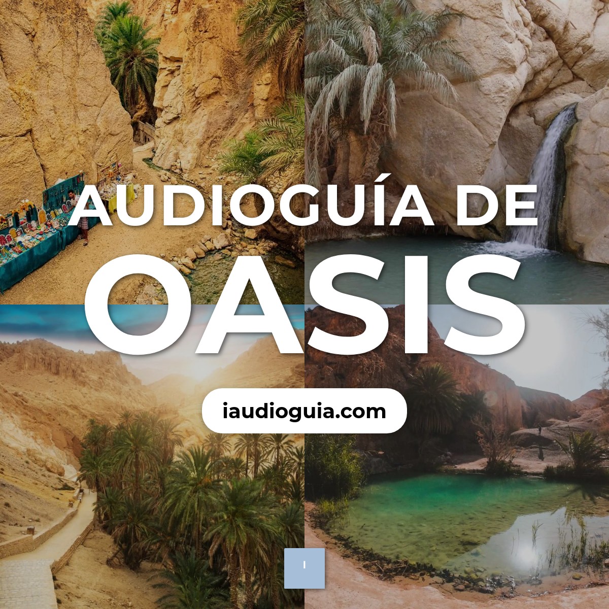Audioguía de Oasis
