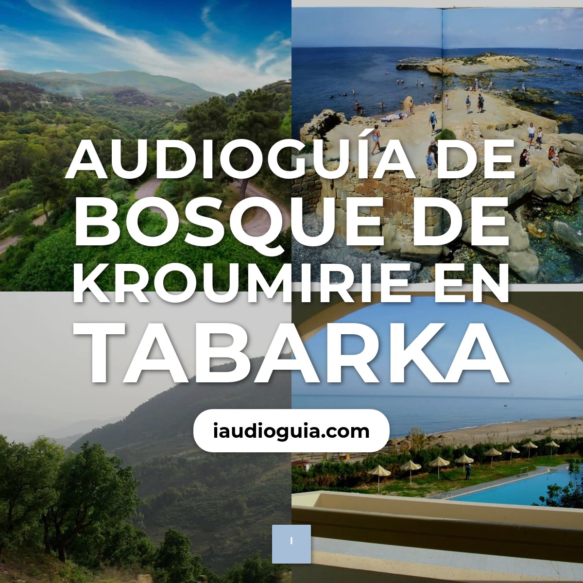 Audioguía de Bosque Kroumirie