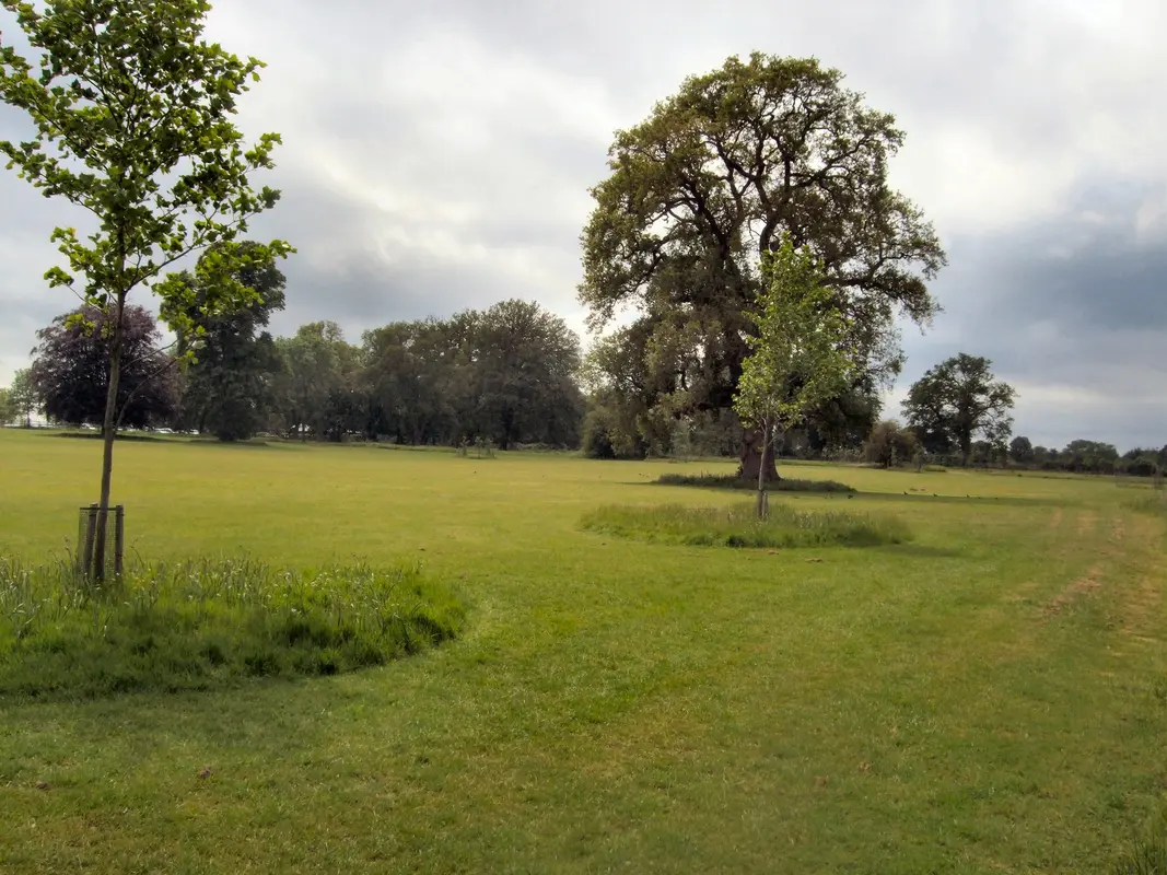 Audioguía de Loseley Park