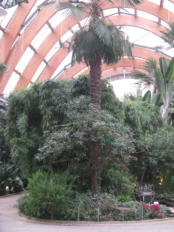 Audioguía de Winter Garden