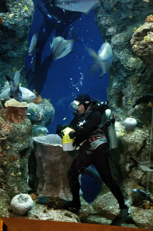 Audioguía de South Carolina Aquarium