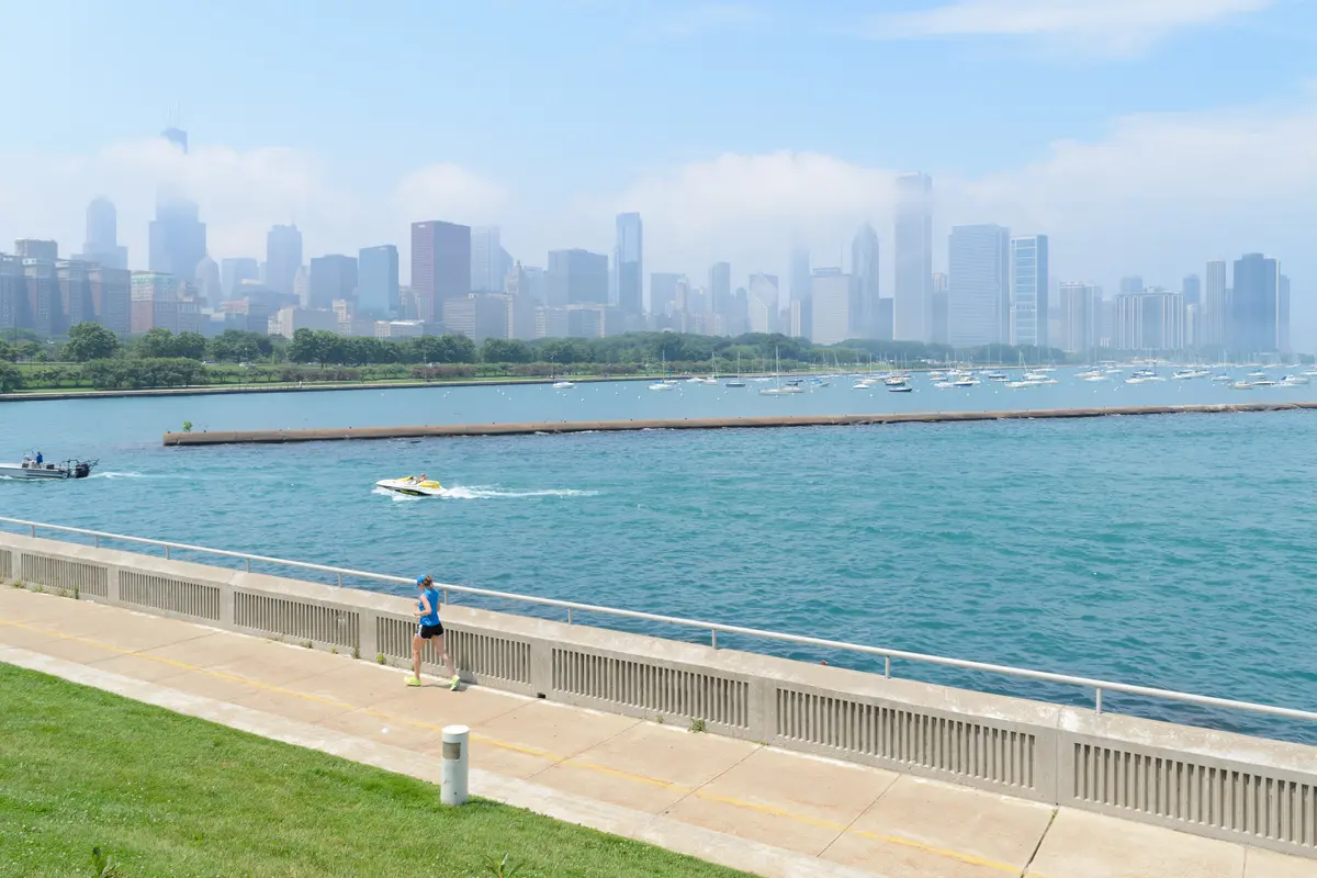 Audioguía de Shedd Aquarium