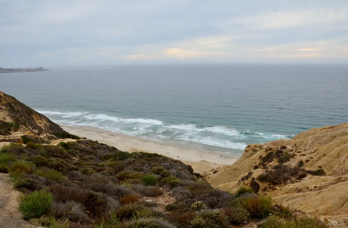 Reserva Natural Estatal de Torrey Pines