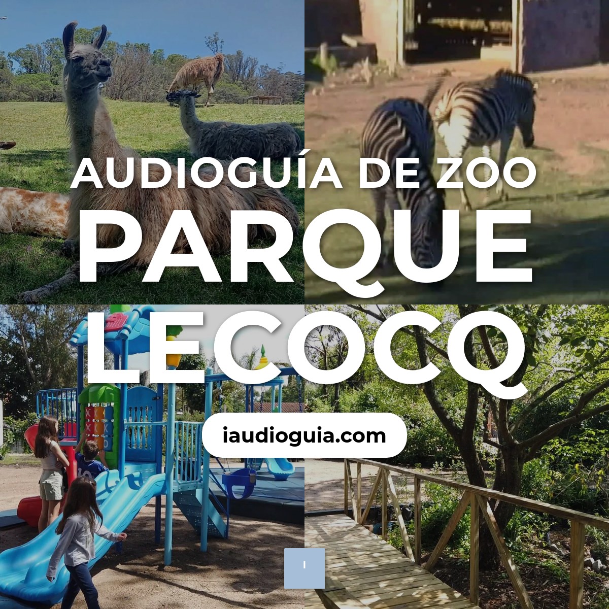 Audioguía de Zoo Parque Lecocq