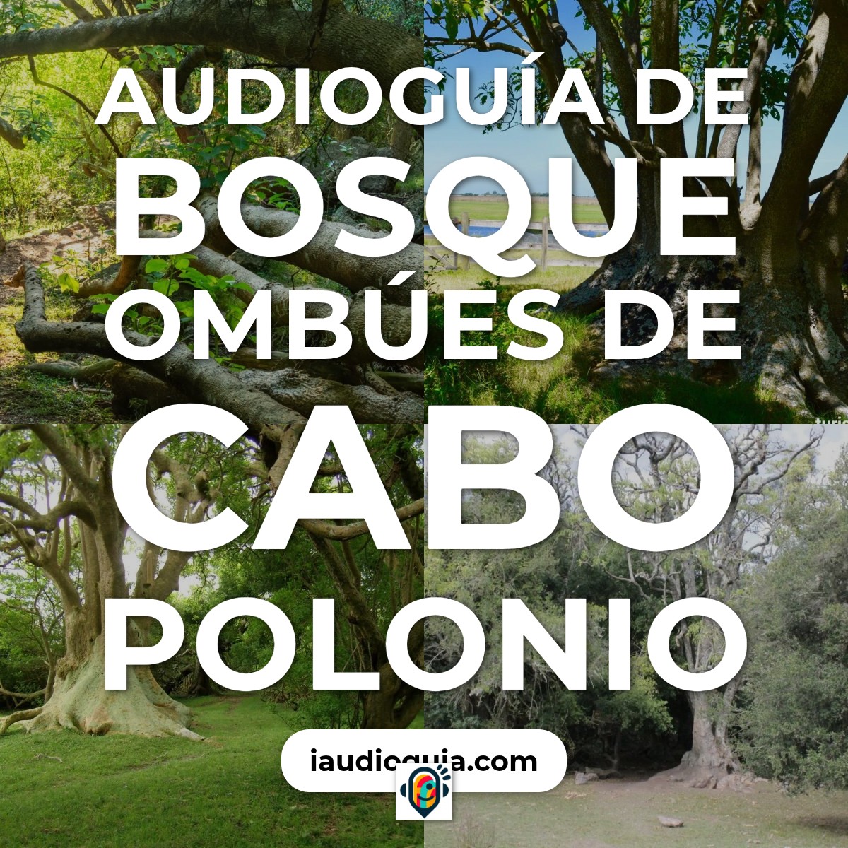 Audioguía de Bosque Ombues