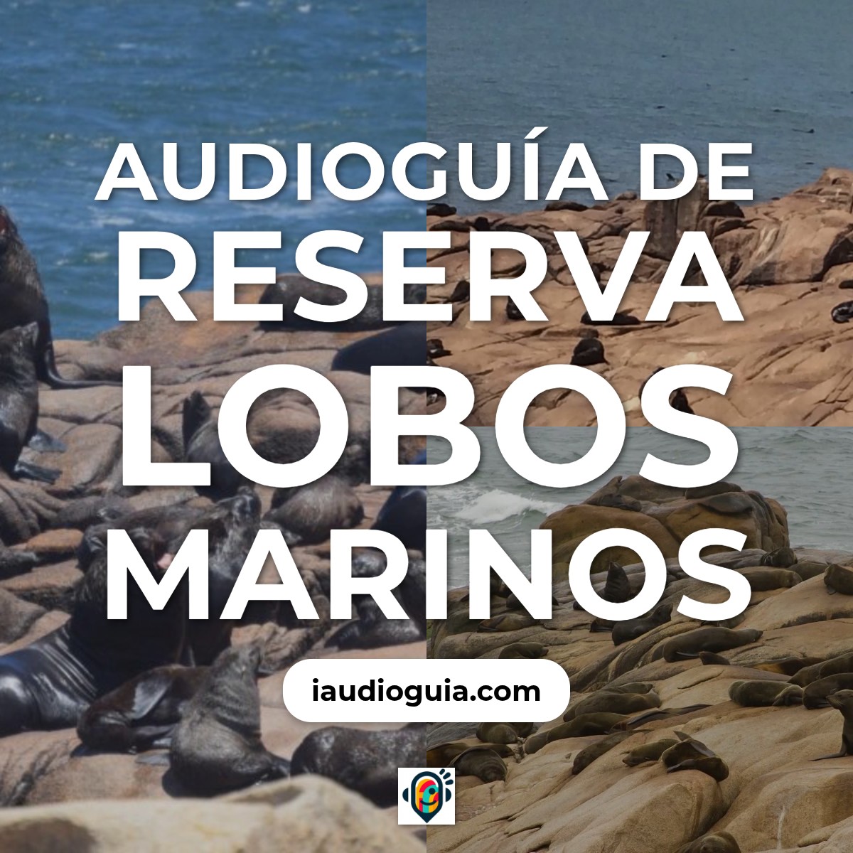 Audioguía de Reserva Lobos Marinos
