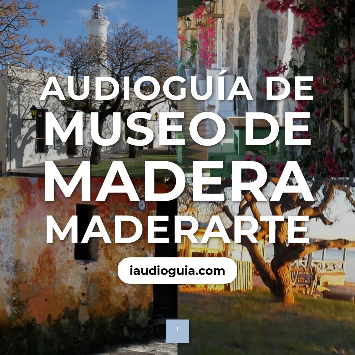 Audioguía de Museo Madera Maderarte