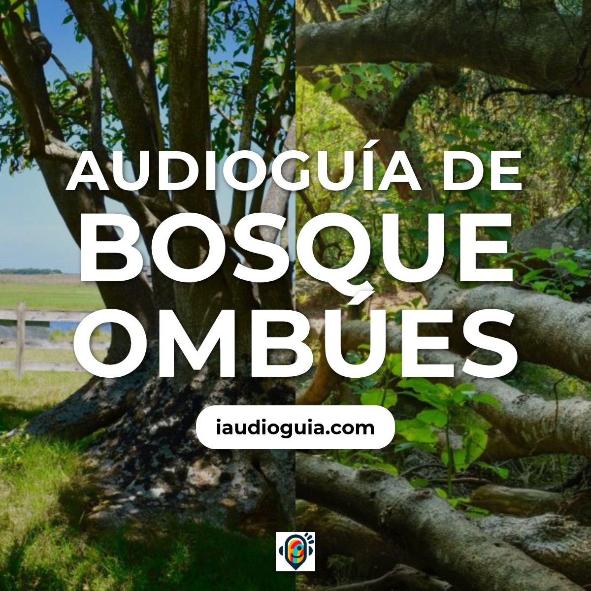 Audioguía de Bosque Ombues