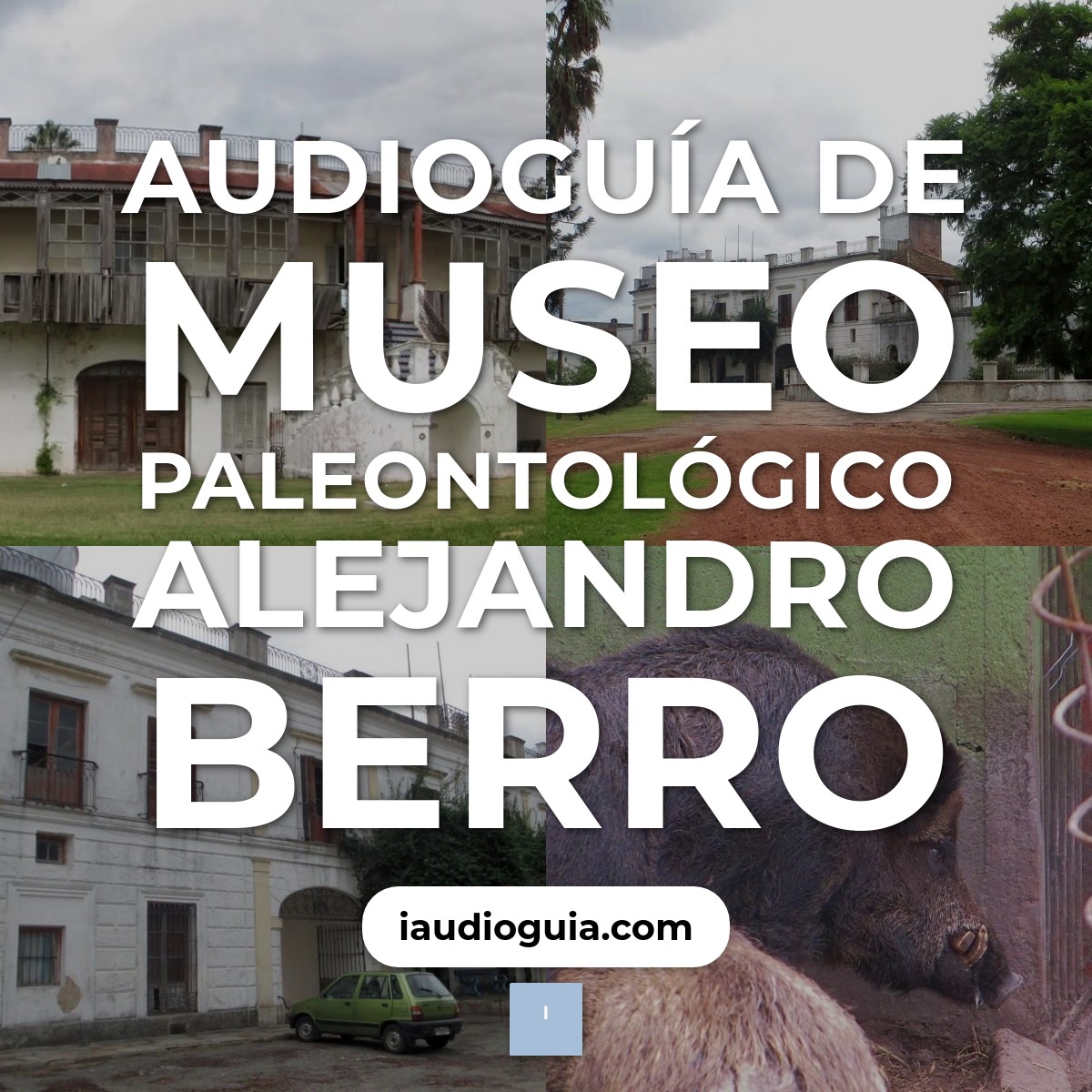 Audioguía de Museo Paleontologico Alejandro Berro