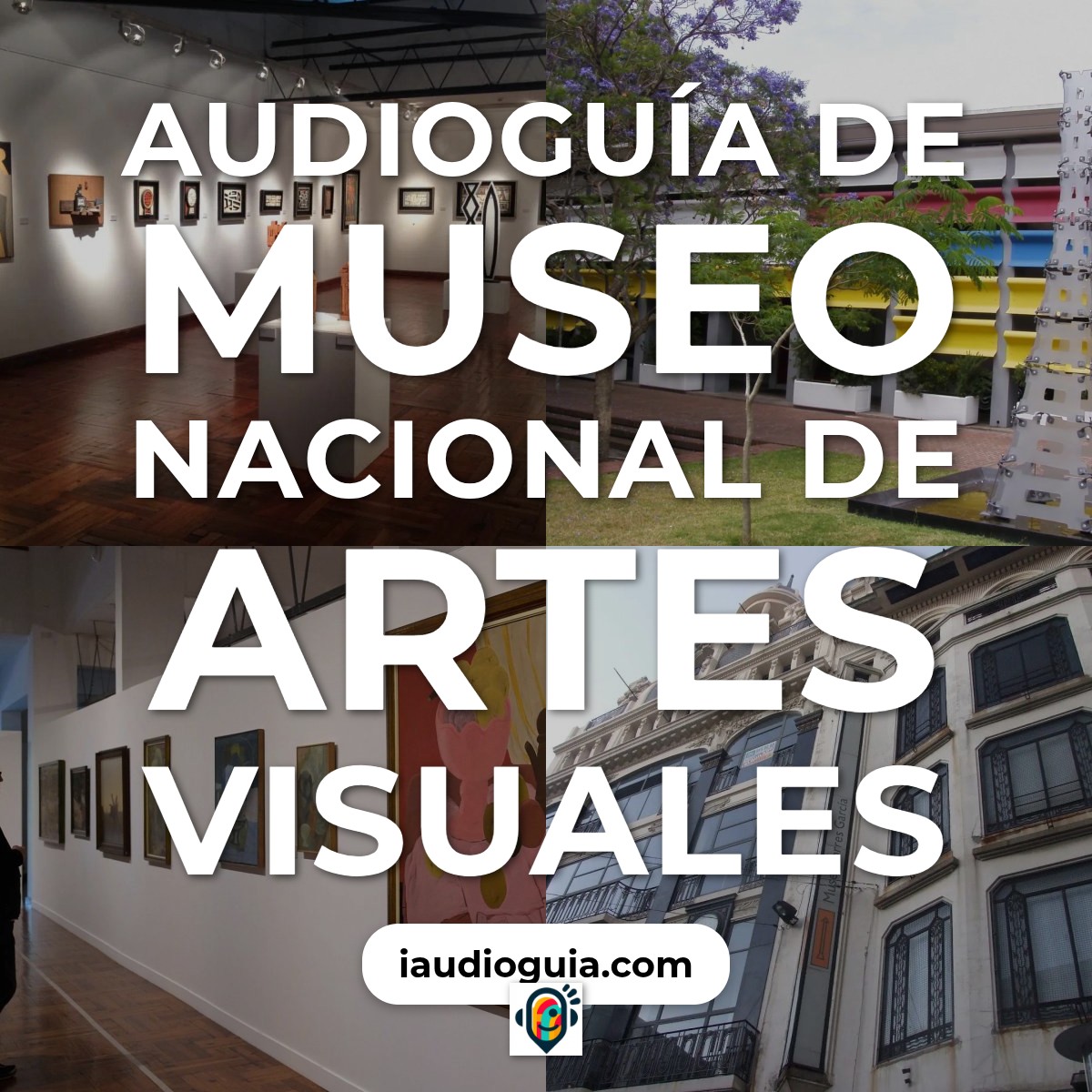 Audioguía de Museo Nacional Artes Visuales