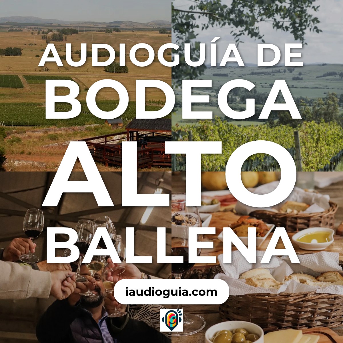 Audioguía de Bodega Alto Ballena
