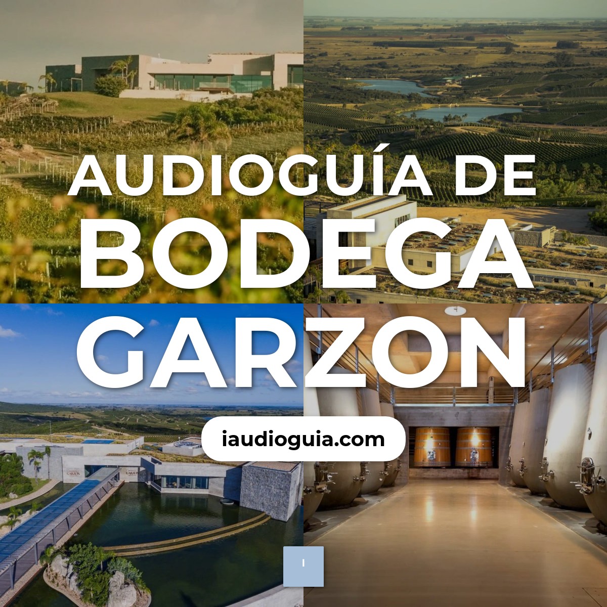 Audioguía de Bodega Garzon