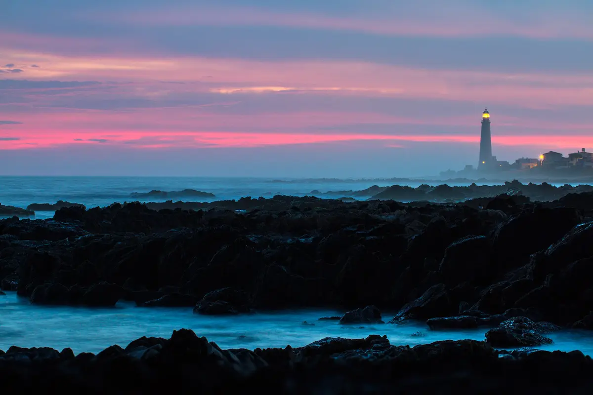 Audioguía de Paloma