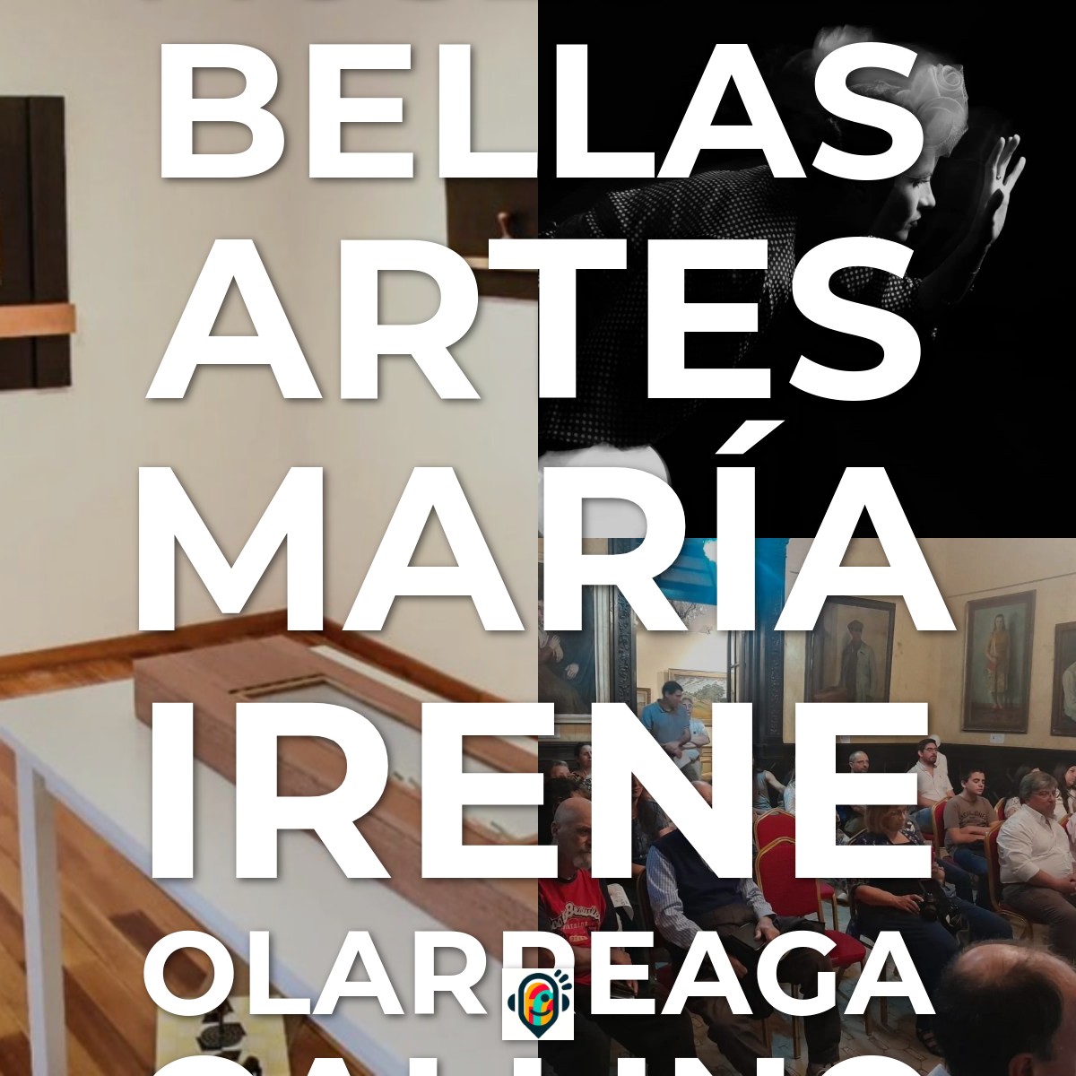 Audioguía de Museo de Bellas Artes María Irene Olarreaga Gallino