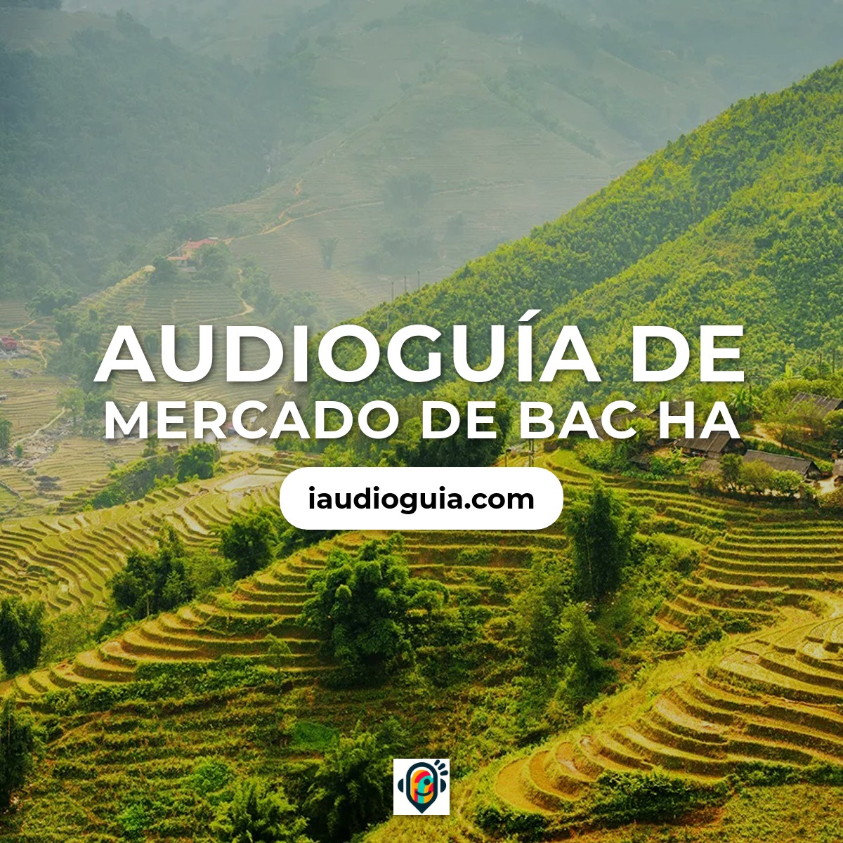 Audioguía de Mercado