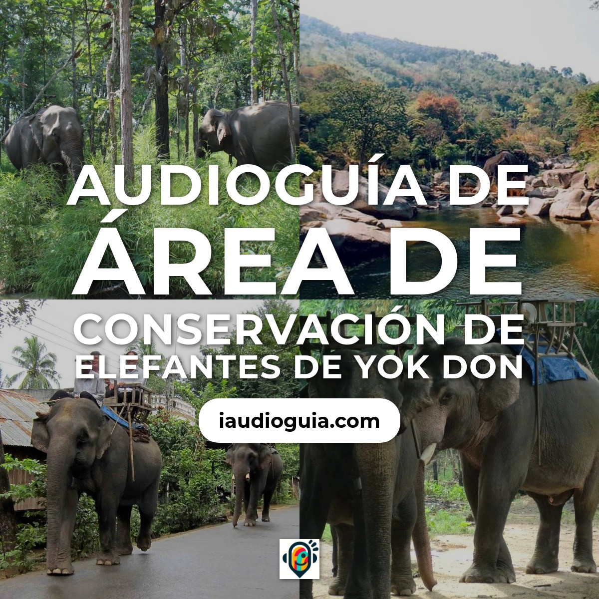 Audioguía de Area Conservacion Elefantes Yok Don