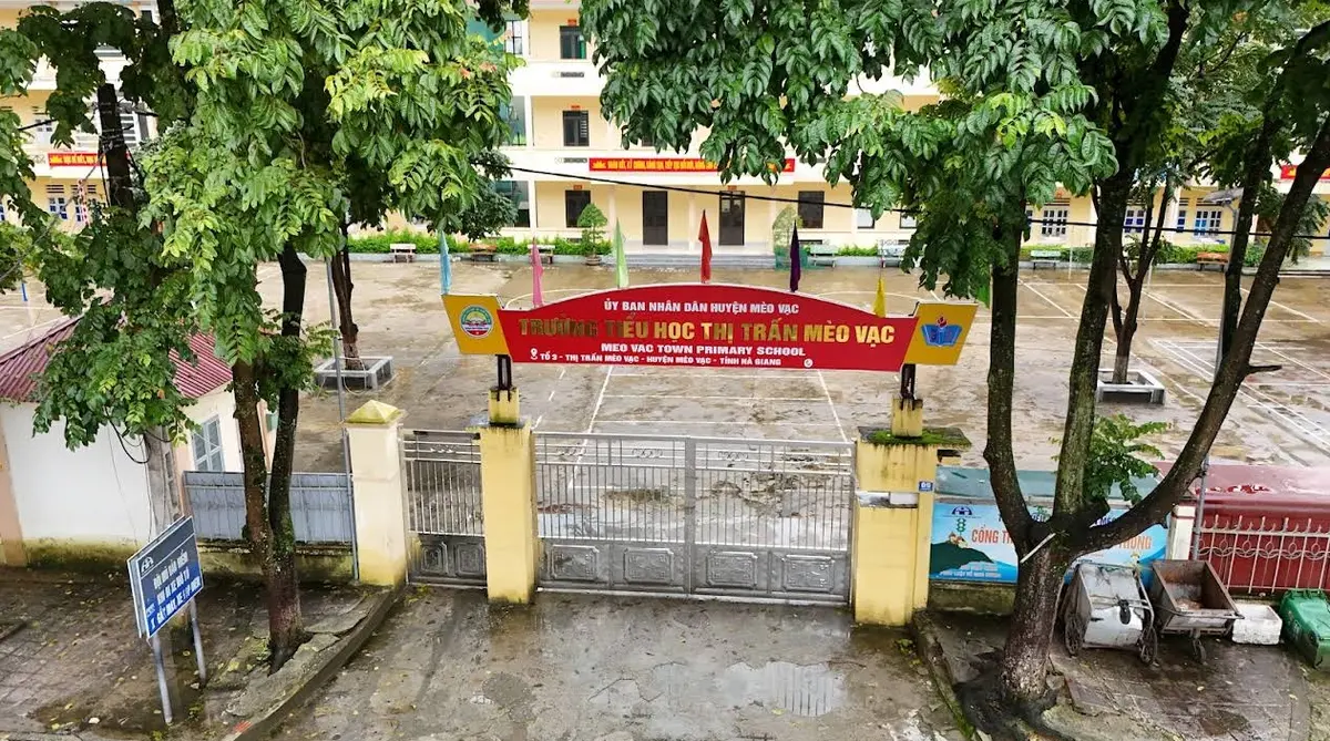 Audioguía de Meo Vac