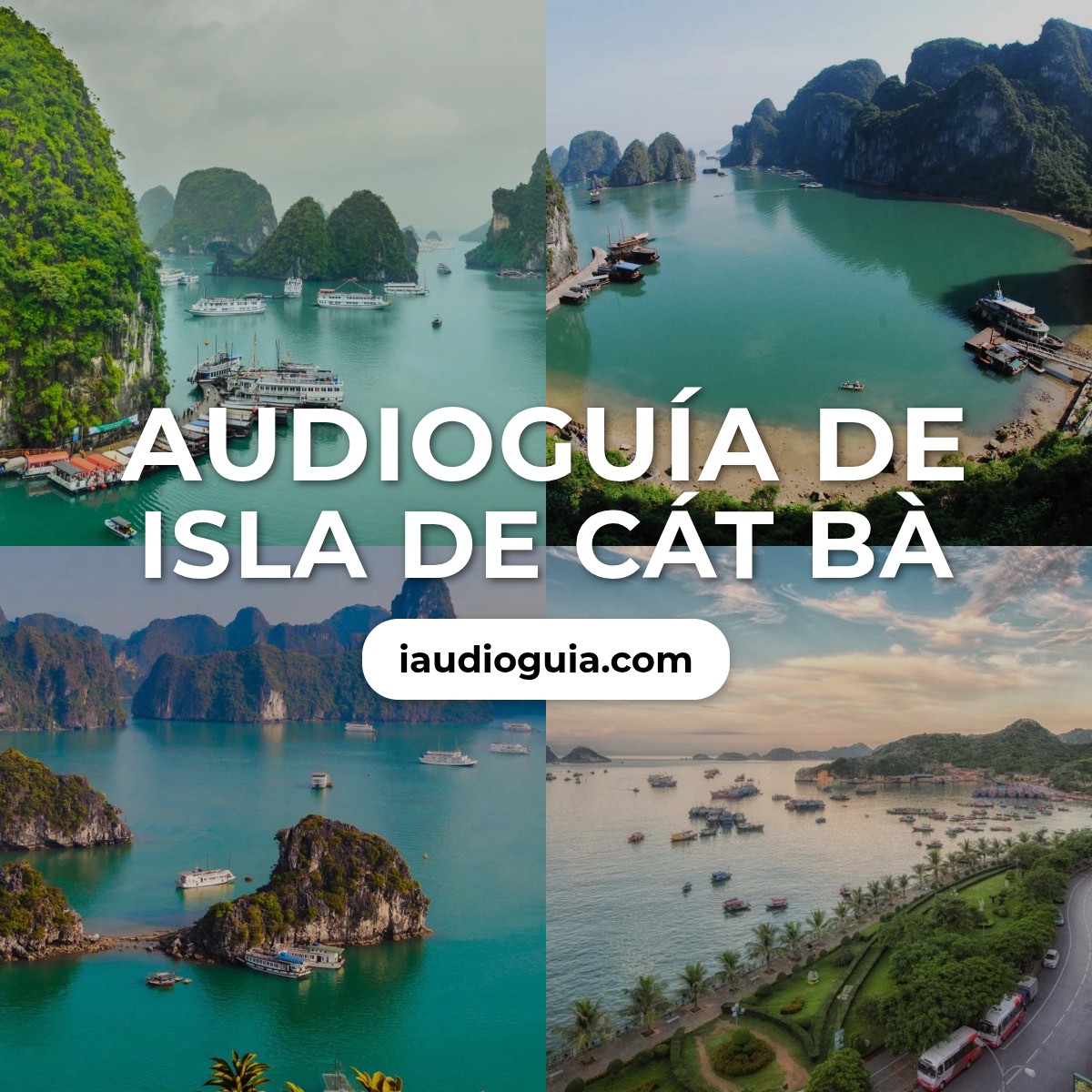 Audioguía de Isla Cat Ba