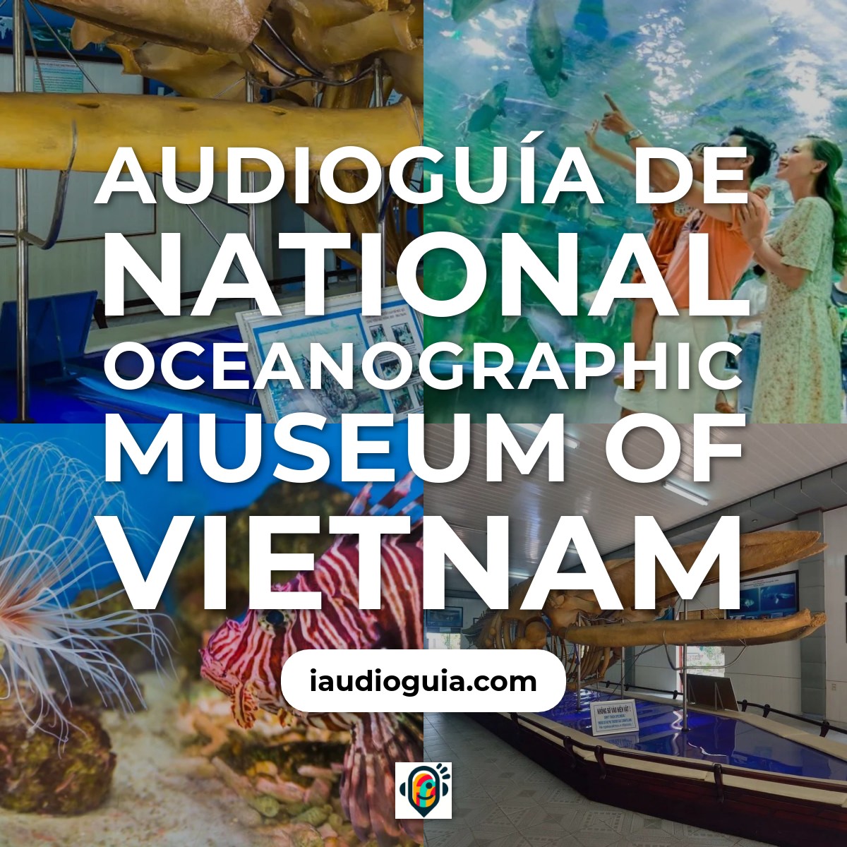 Audioguía de National Oceanographic Museum Of Vietnam