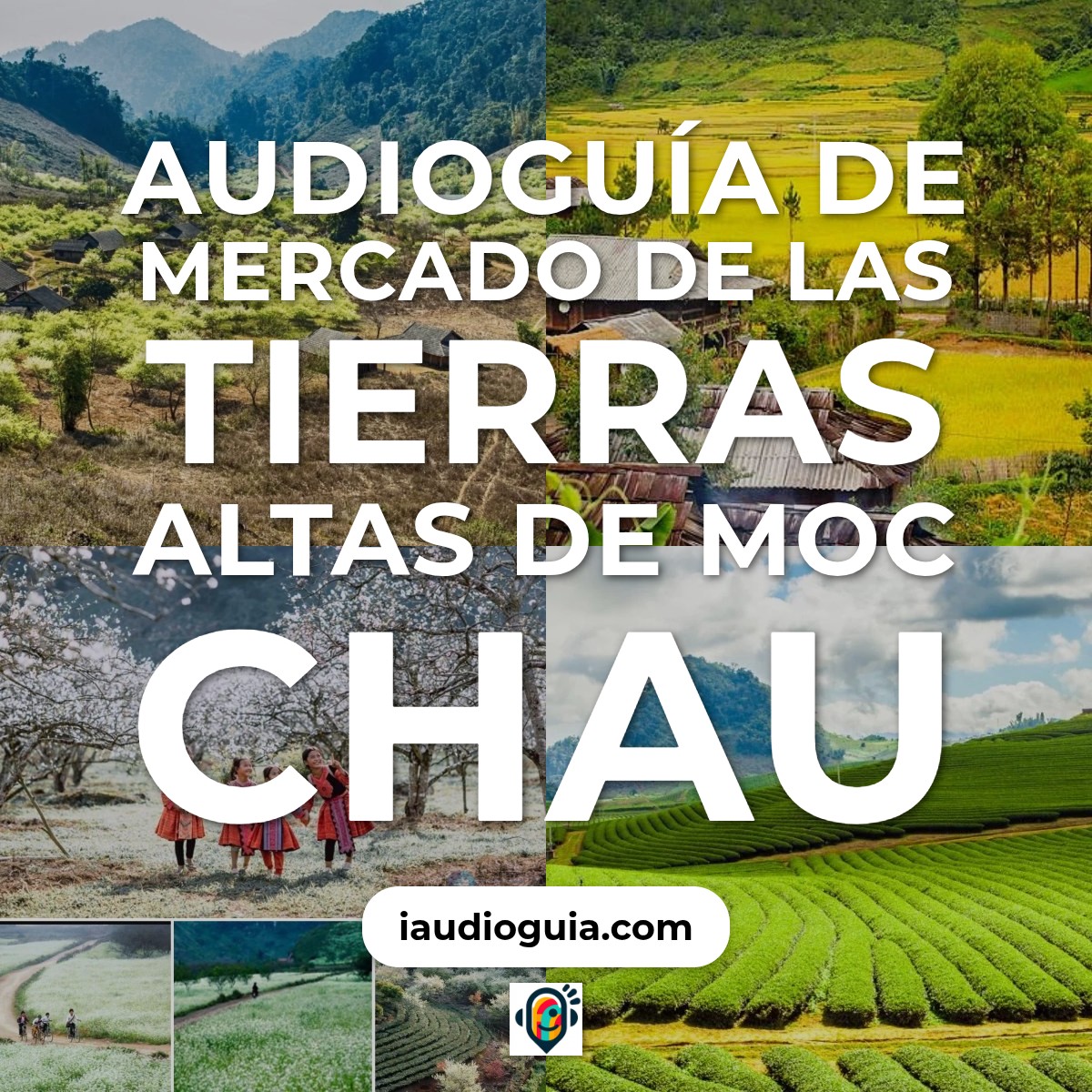 Audioguía de Mercado Highland Moc Chau