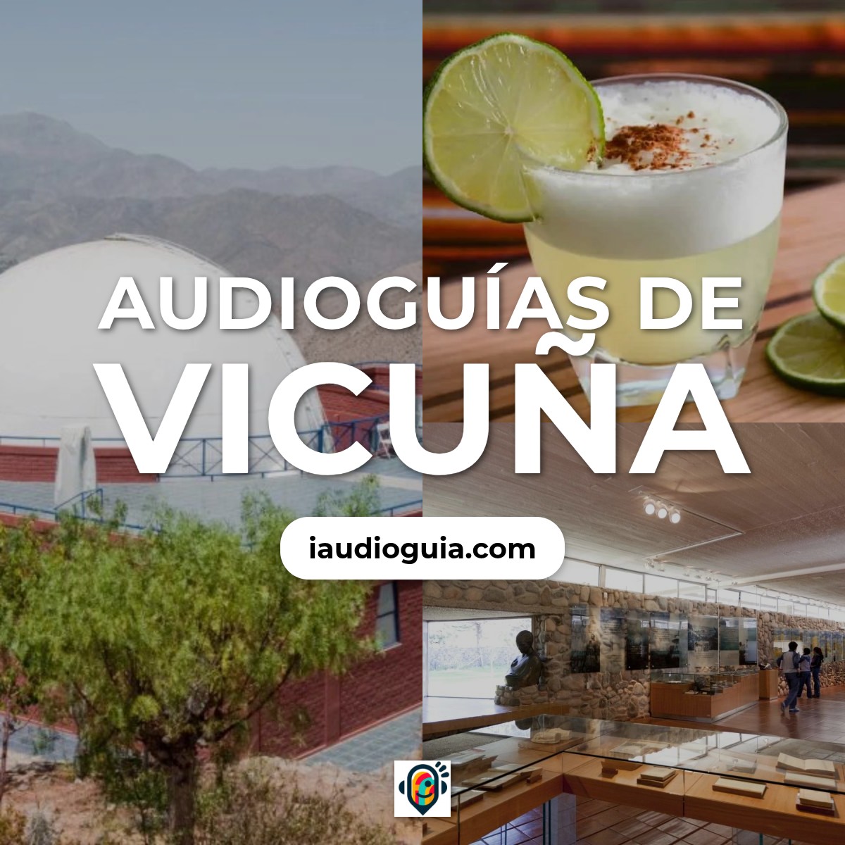 Audioguías de Vicuña