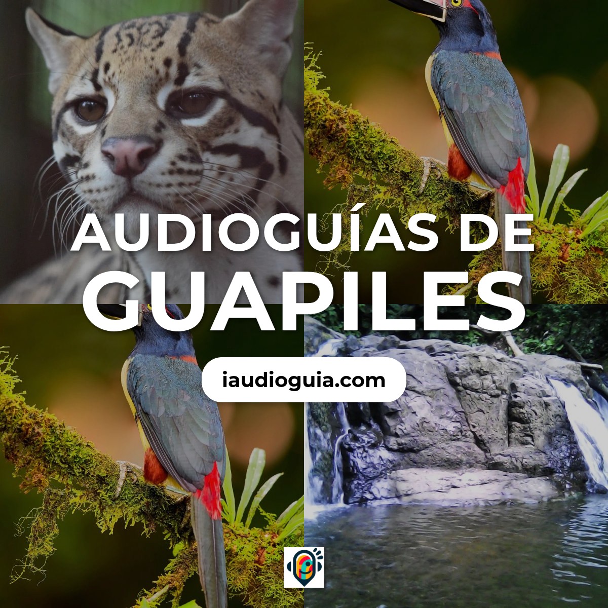 Audioguías de Guapiles