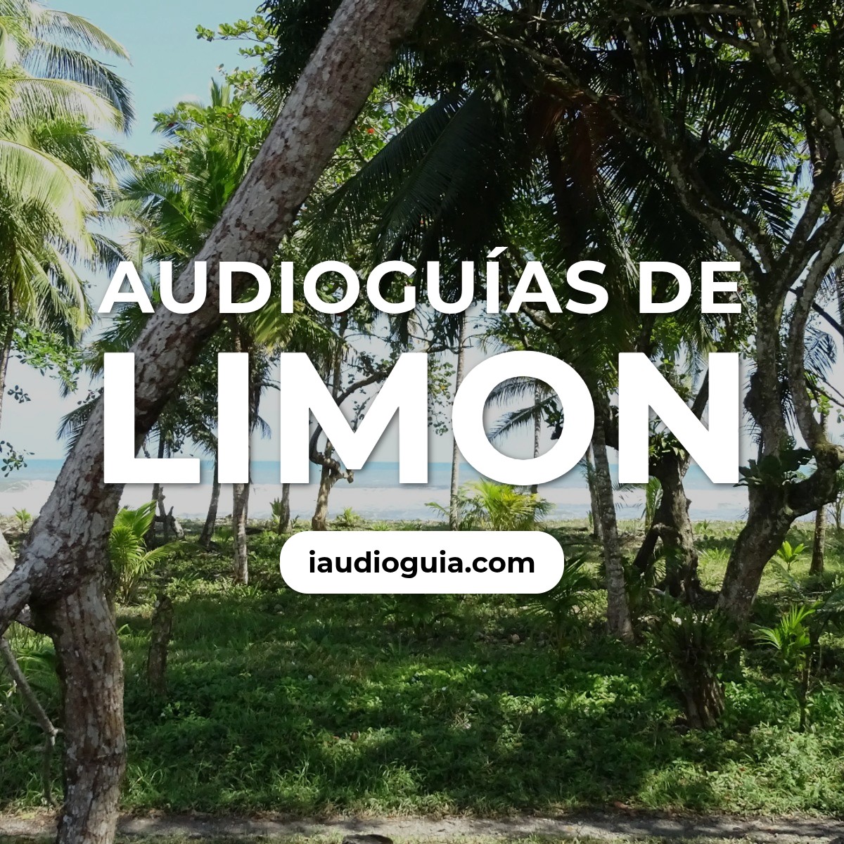 Audioguías de Limon