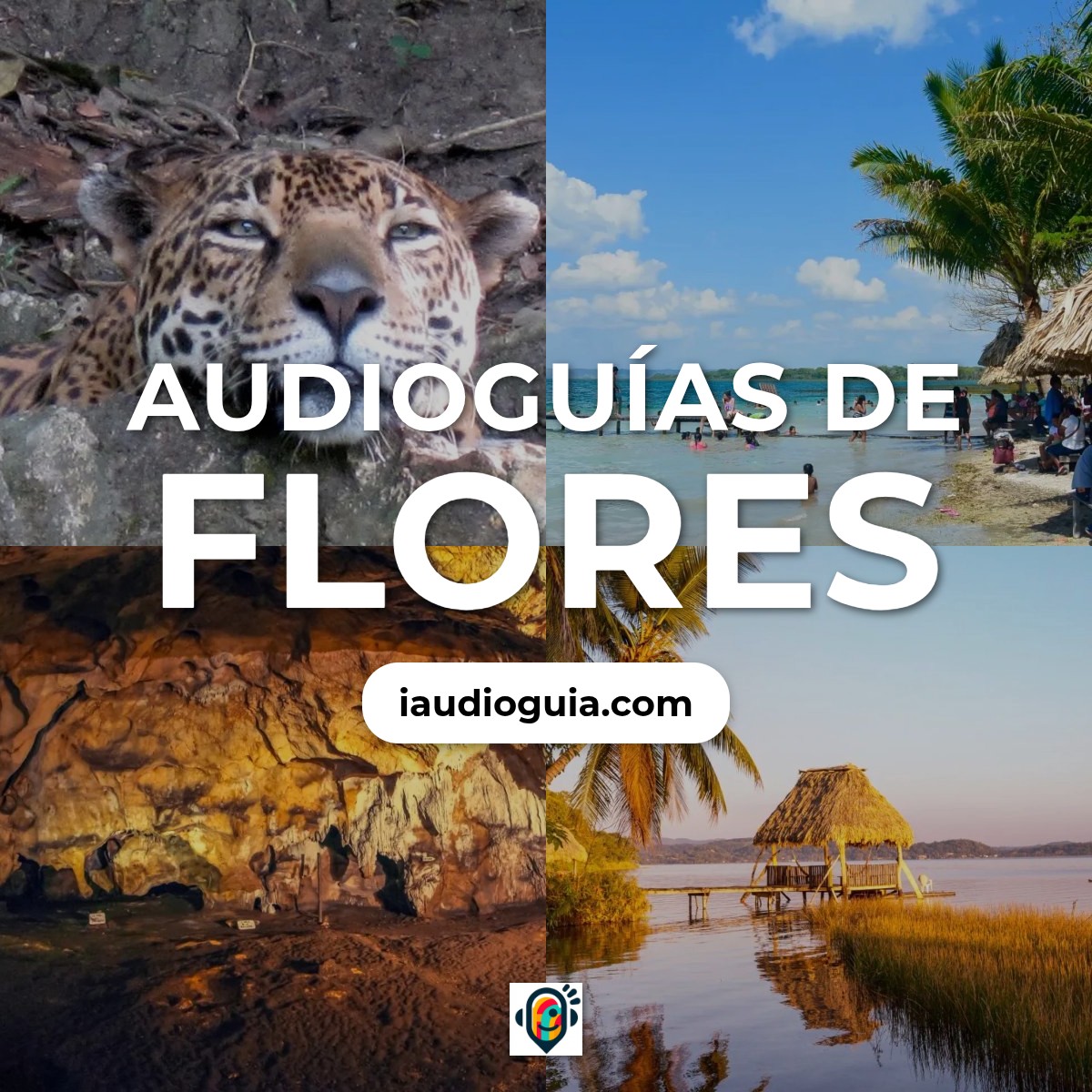 Audioguías de Flores
