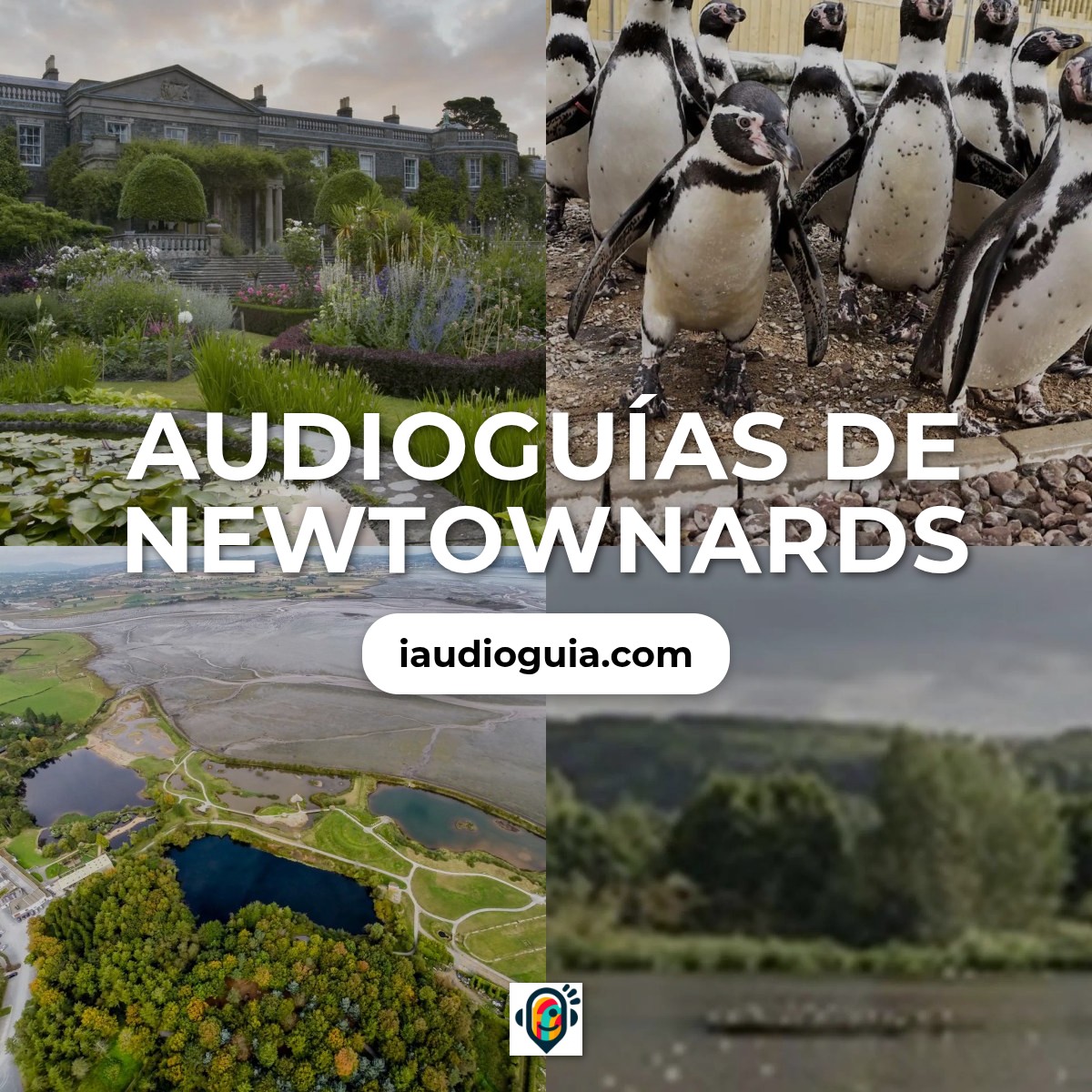 Audioguías de Newtownards