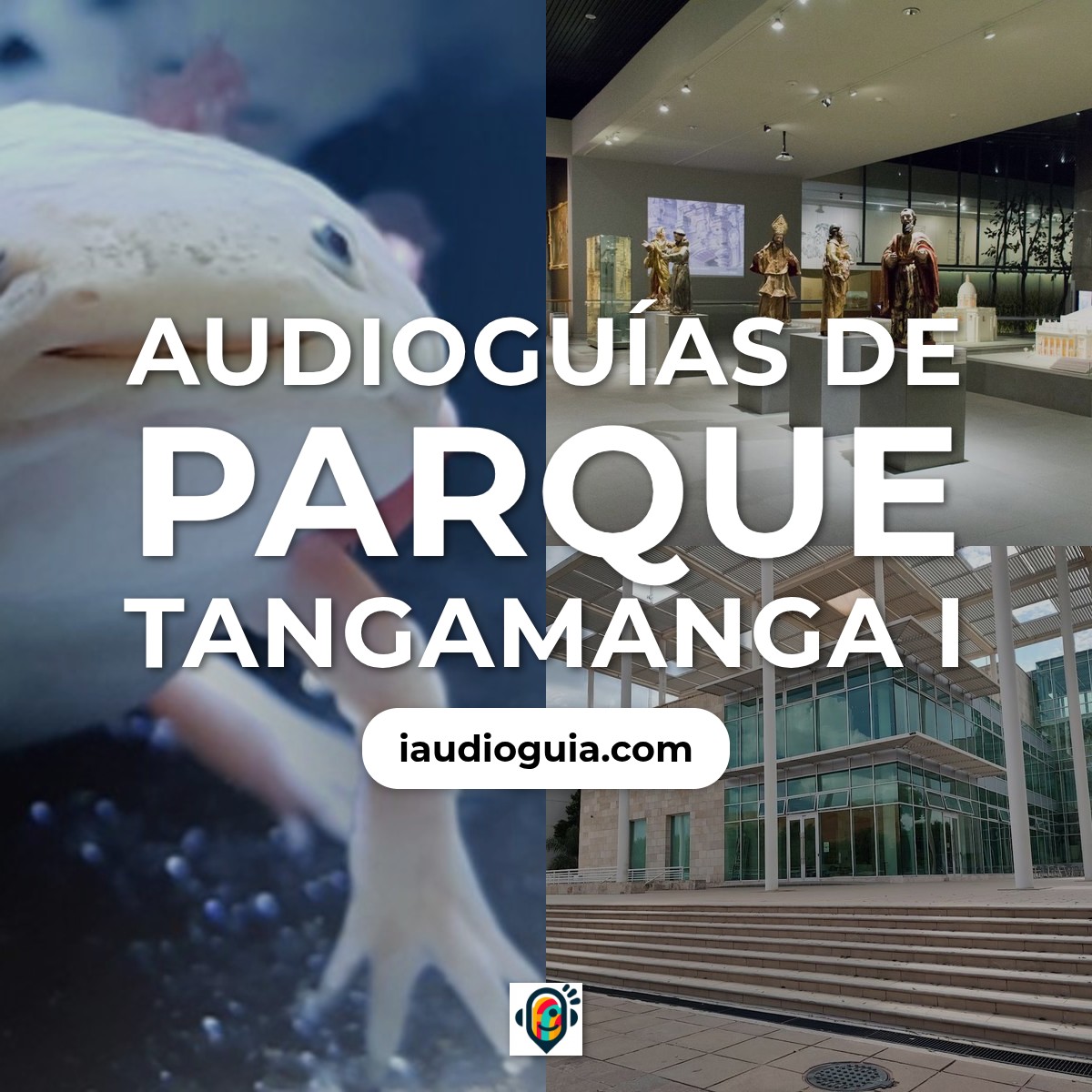 Audioguías de Parque Tangamanga I