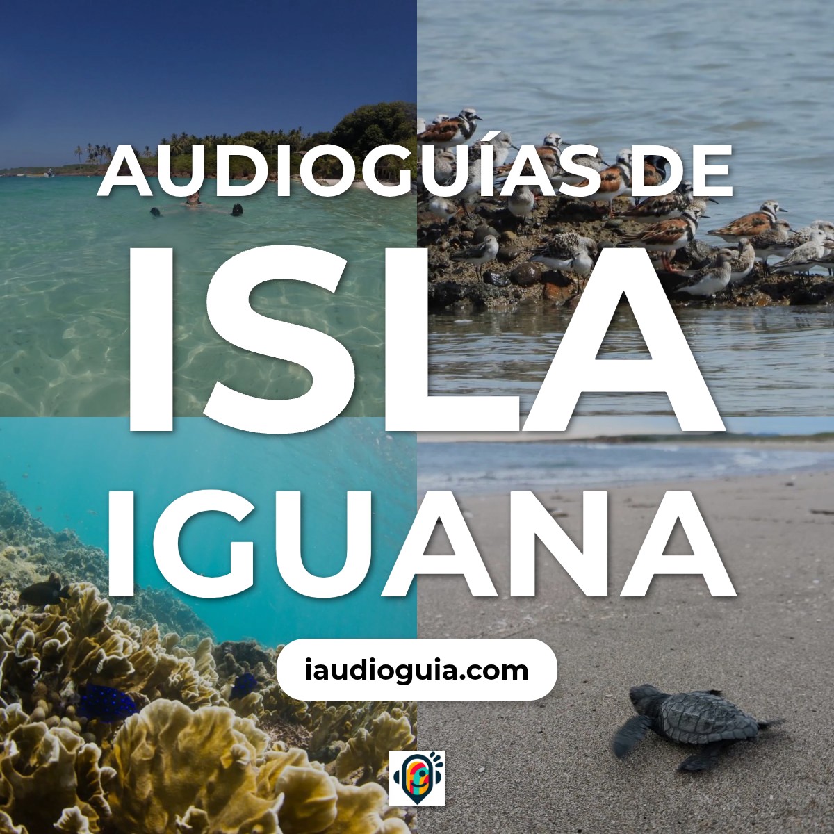 Audioguías de Isla Iguana