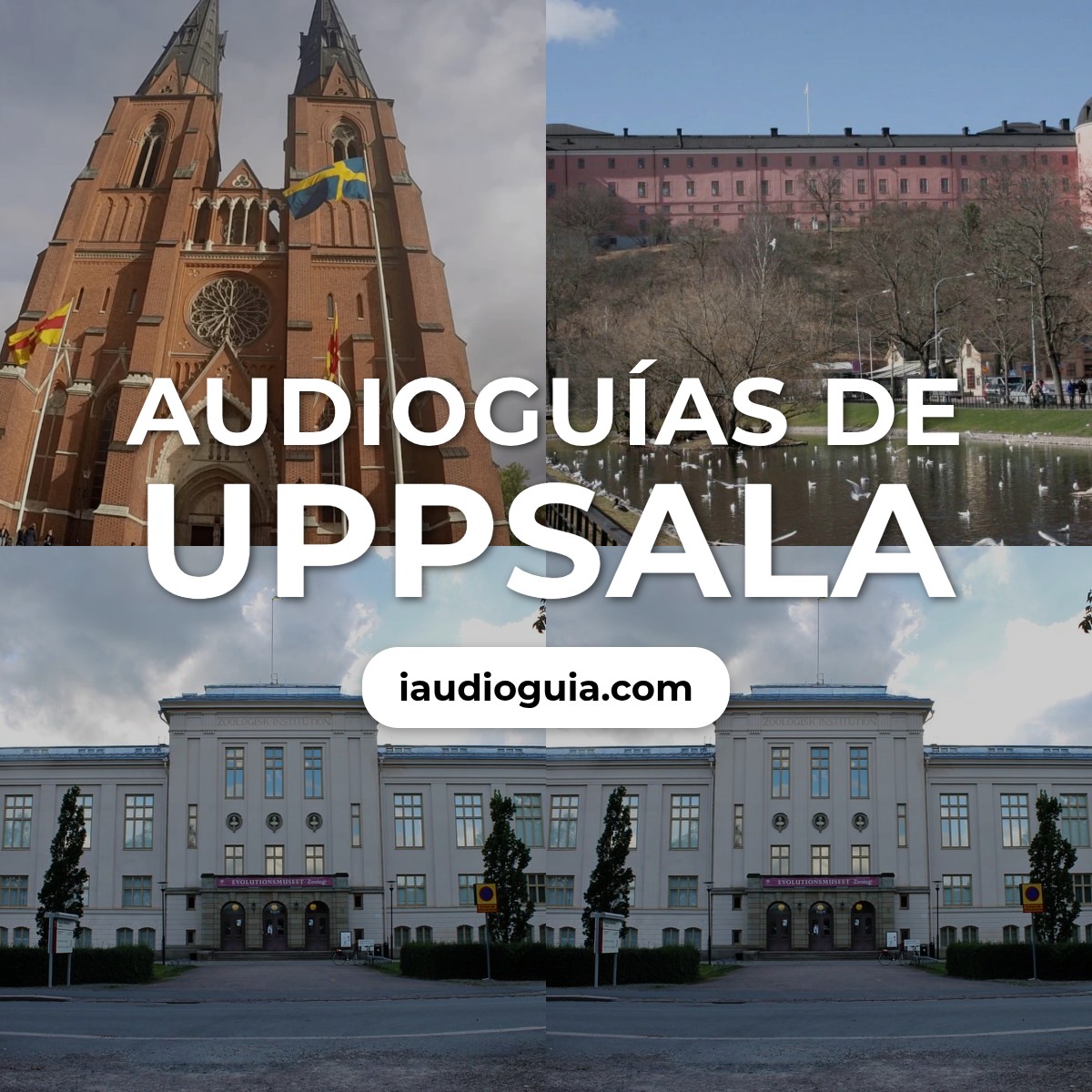 Audioguías de Uppsala