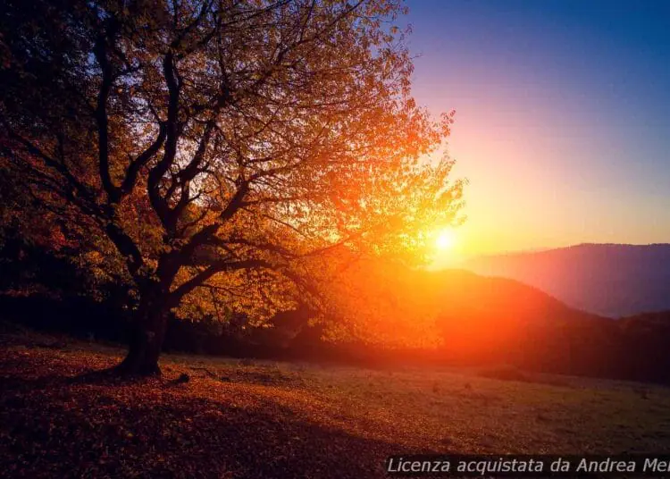 Meteo Roma Prossimi Giorni: Sole E Temperature In Aumento - METEO ...