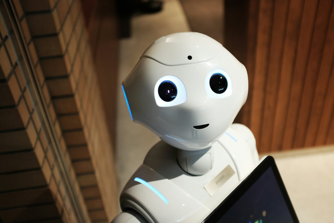 A small white humanoid robot with a tablet screen mounted on its chest