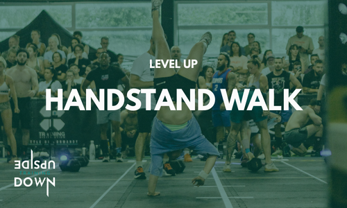 LEVEL UP : HANDSTAND WALK