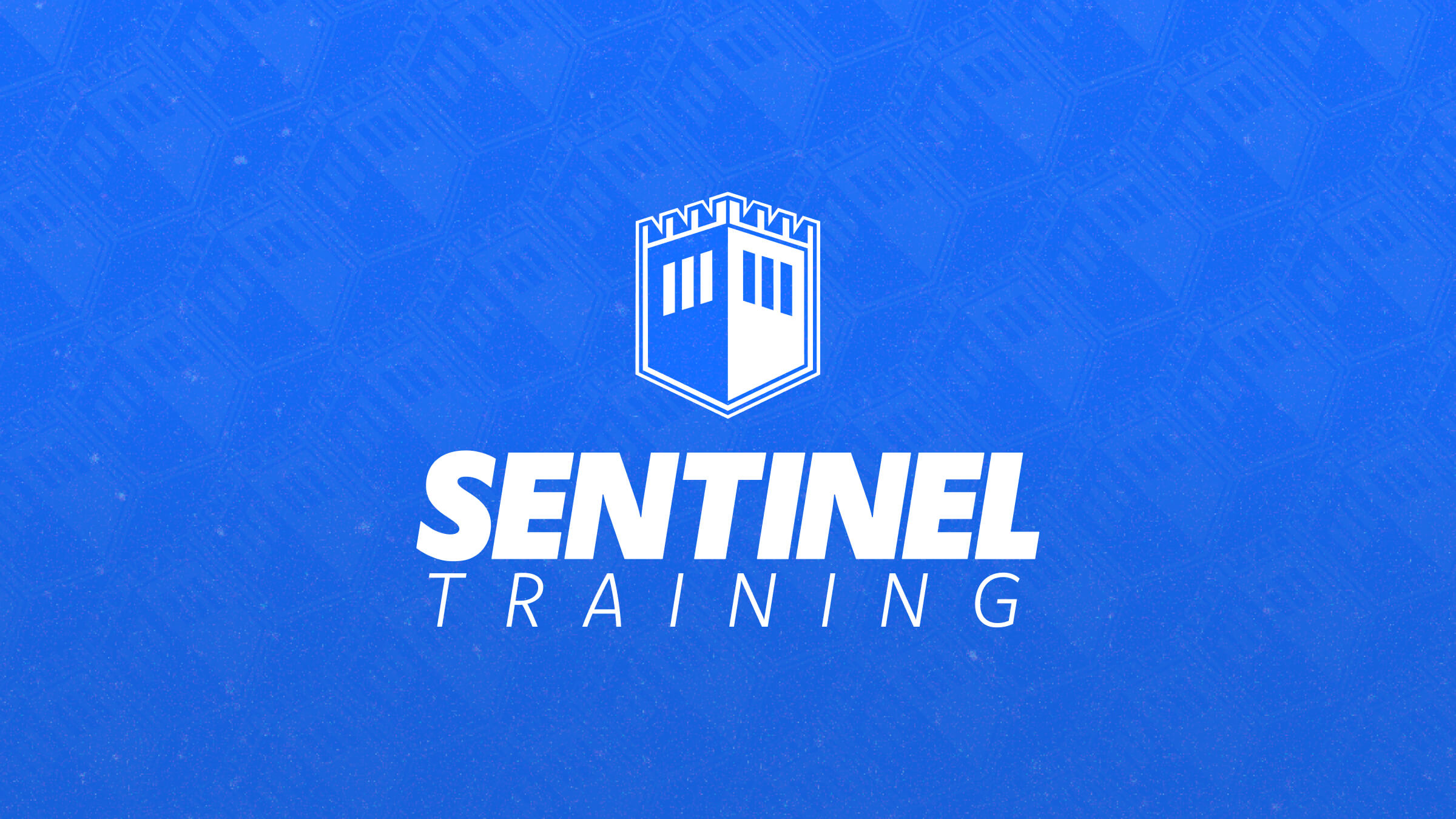 About Sentinel Training