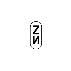 zayne paris