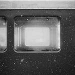 Pablo Doyle Profile Picture