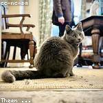 Lorenz Kilback Profile Picture