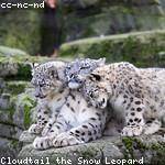 Katrina Goodwin Profile Picture