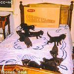 Zachery VonRueden Profile Picture