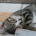 Guy Reynolds Profile Picture