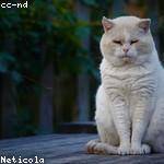 Francesco Bins Profile Picture