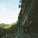 Hortense Yost Profile Picture