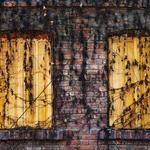 Samara Larson Profile Picture